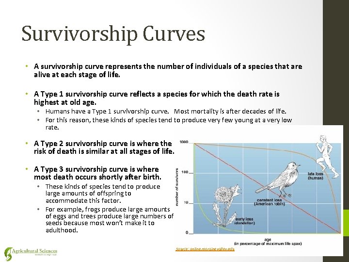 Survivorship Curves • A survivorship curve represents the number of individuals of a species