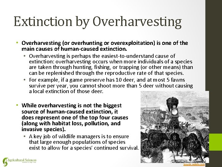 Extinction by Overharvesting • Overharvesting (or overhunting or overexploitation) is one of the main