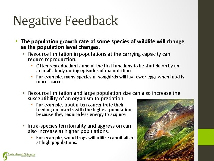 Negative Feedback • The population growth rate of some species of wildlife will change