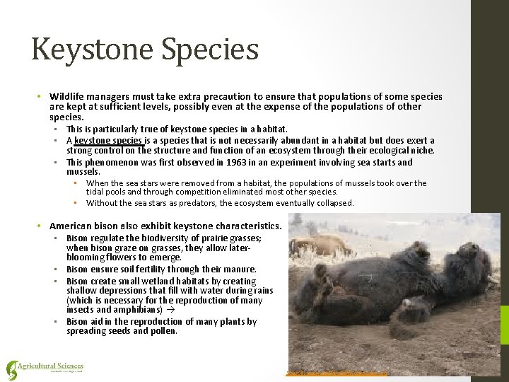 Keystone Species • Wildlife managers must take extra precaution to ensure that populations of