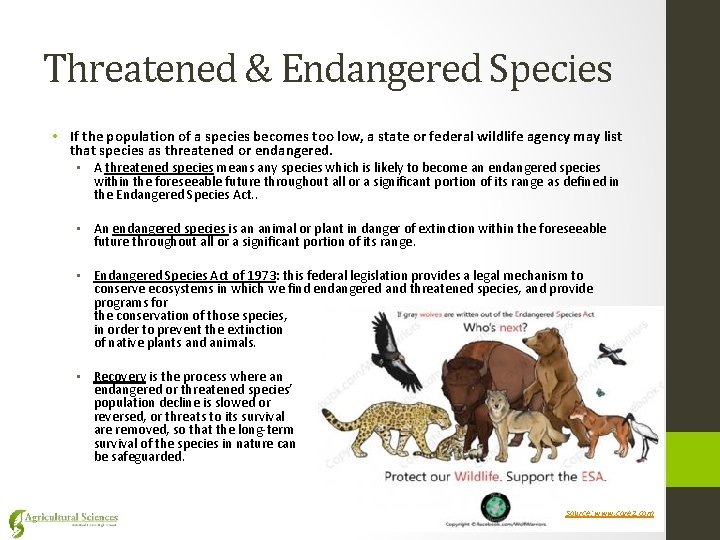 Threatened & Endangered Species • If the population of a species becomes too low,