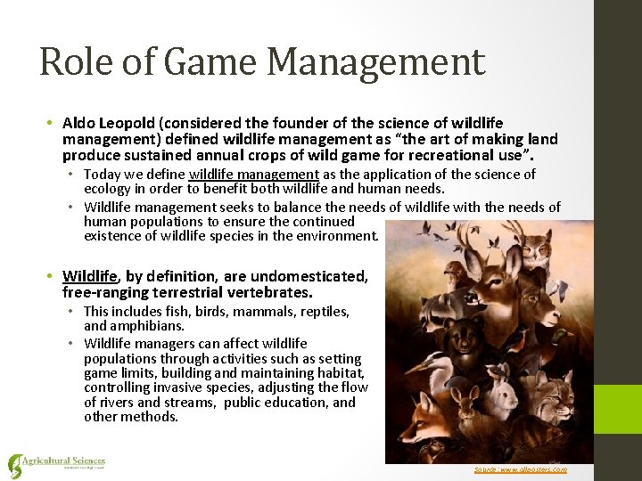 Role of Game Management • Aldo Leopold (considered the founder of the science of