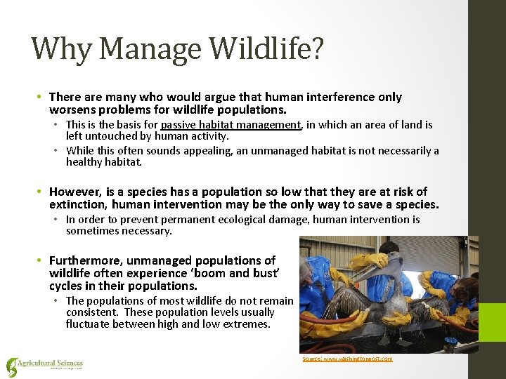 Why Manage Wildlife? • There are many who would argue that human interference only