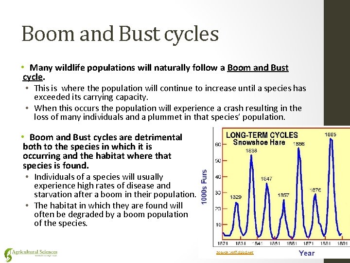 Boom and Bust cycles • Many wildlife populations will naturally follow a Boom and