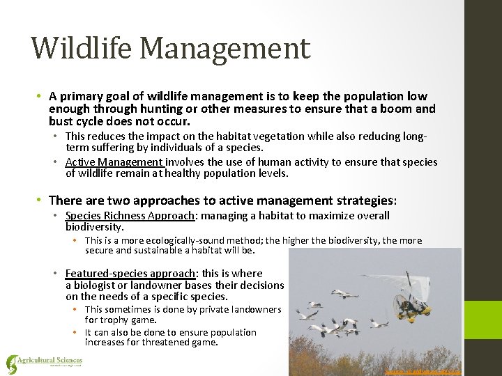 Wildlife Management • A primary goal of wildlife management is to keep the population