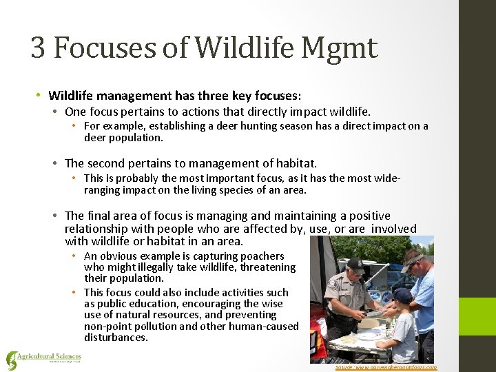 3 Focuses of Wildlife Mgmt • Wildlife management has three key focuses: • One