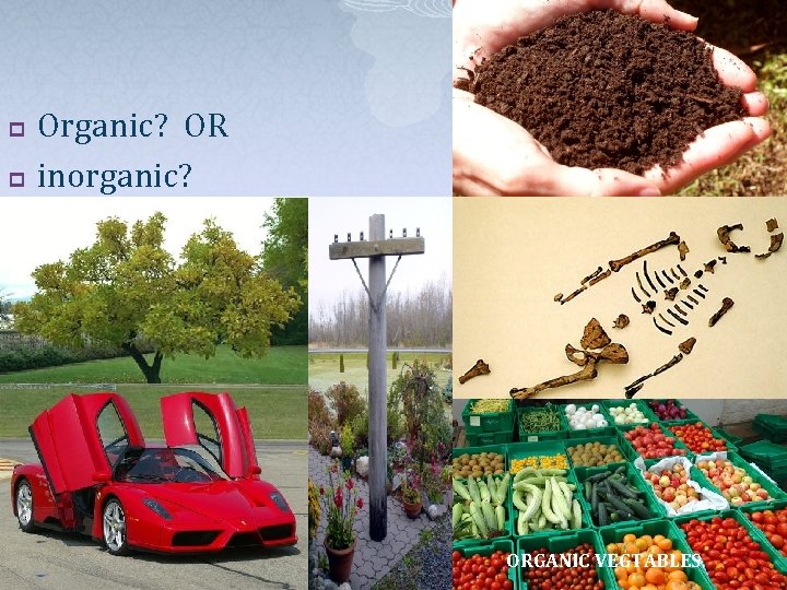 p p Organic? OR inorganic? ORGANIC VEGTABLES 