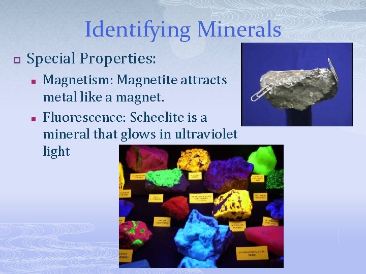 Identifying Minerals p Special Properties: n n Magnetism: Magnetite attracts metal like a magnet.