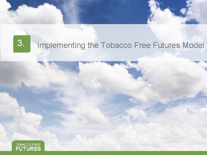 Implementing the Tobacco Free Futures Model 