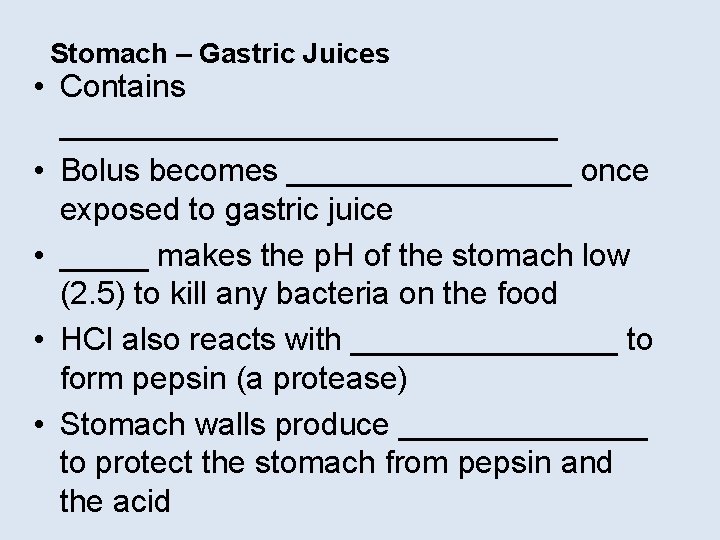 Stomach – Gastric Juices • Contains ______________ • Bolus becomes ________ once exposed to