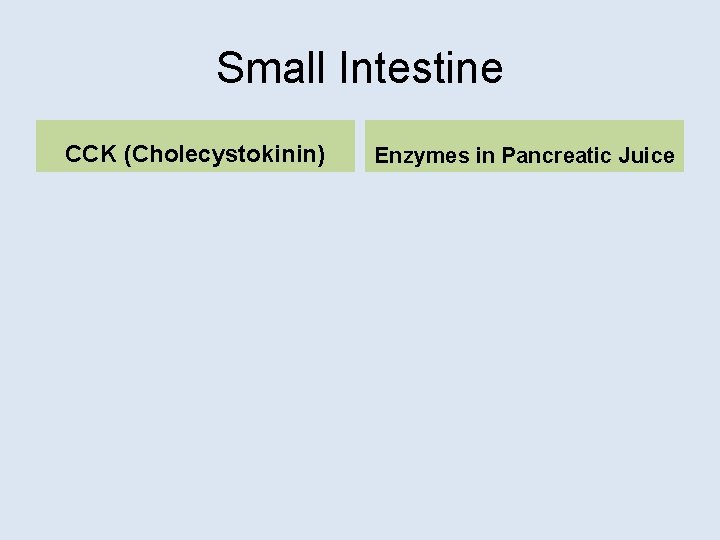 Small Intestine CCK (Cholecystokinin) Enzymes in Pancreatic Juice 