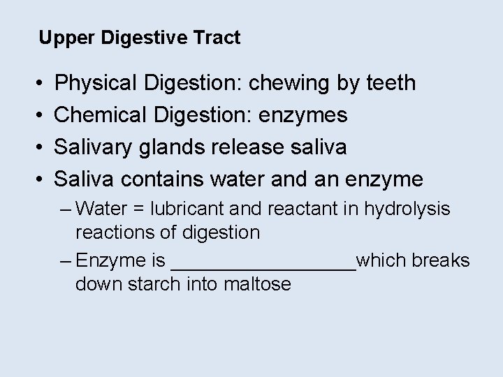 Digestive System Continued The Digestive Tract Remember Our