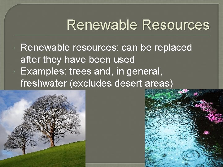 Renewable Resources Renewable resources: can be replaced after they have been used Examples: trees