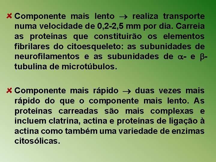 Componente mais lento realiza transporte numa velocidade de 0, 2 -2, 5 mm por