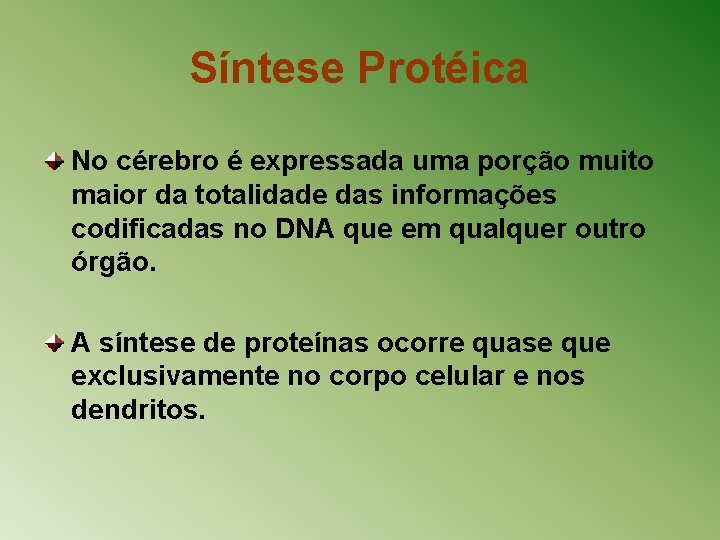 Síntese Protéica No cérebro é expressada uma porção muito maior da totalidade das informações