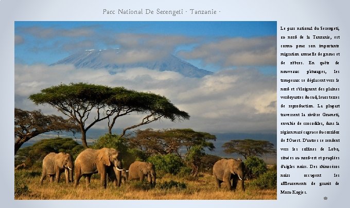 Parc National De Serengeti - Tanzanie Le parc national du Serengeti, au nord de