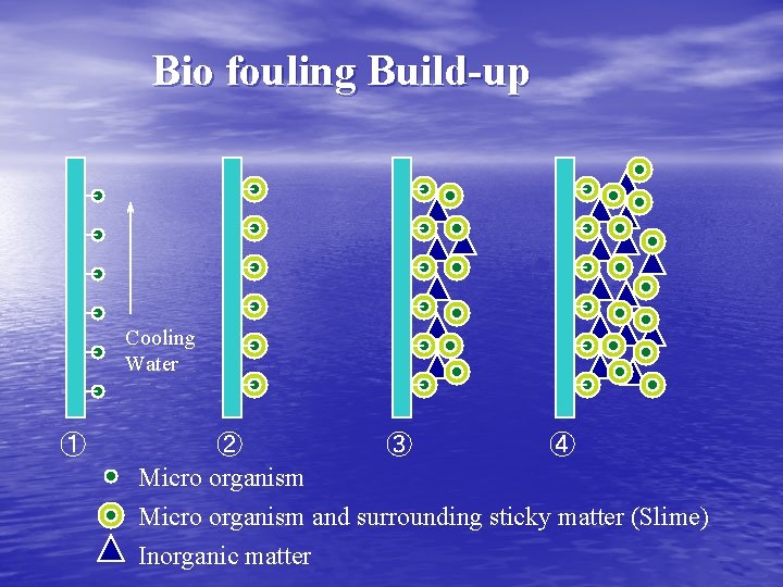 Bio fouling Build-up Cooling Water ① ② ③ ④ Micro organism and surrounding sticky
