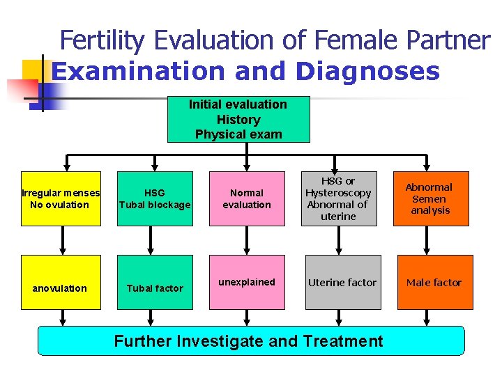 Fertility Evaluation of Female Partner Examination and Diagnoses Initial evaluation History Physical exam Irregular