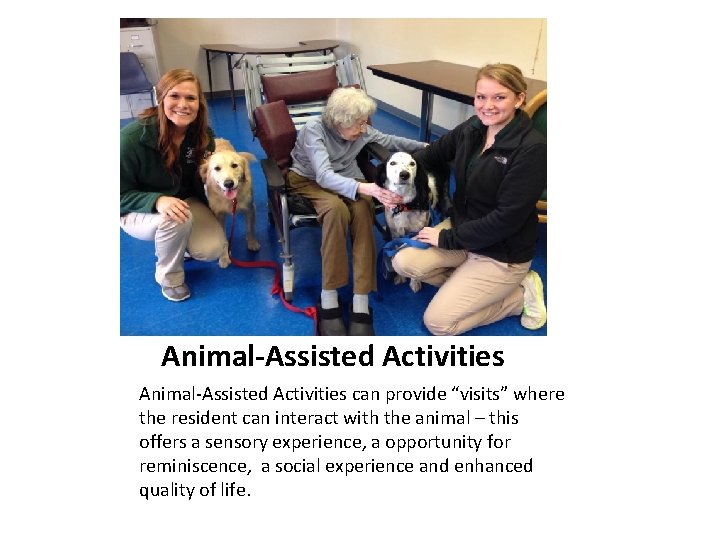 Animal-Assisted Activities can provide “visits” where the resident can interact with the animal –