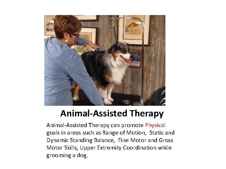 Animal-Assisted Therapy can promote Physical goals in areas such as Range of Motion, Static