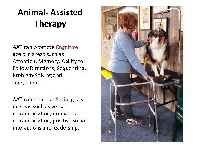 Animal- Assisted Therapy AAT can promote Cognitive goals in areas such as Attention, Memory,