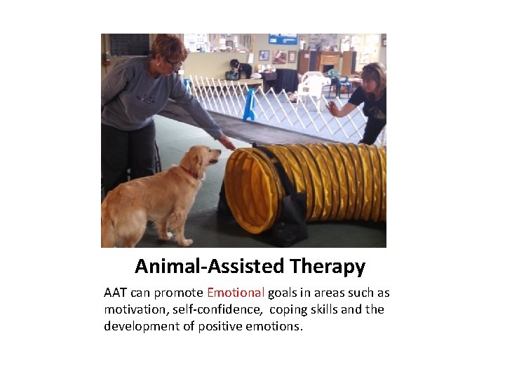 Animal-Assisted Therapy AAT can promote Emotional goals in areas such as motivation, self-confidence, coping