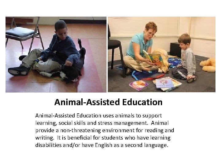 Animal-Assisted Education uses animals to support learning, social skills and stress management. Animal provide