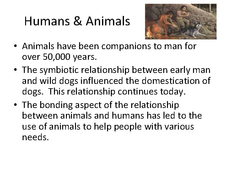 Humans & Animals • Animals have been companions to man for over 50, 000