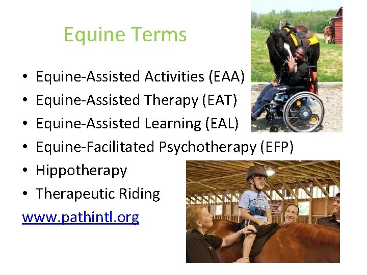 Equine Terms • Equine-Assisted Activities (EAA) • Equine-Assisted Therapy (EAT) • Equine-Assisted Learning (EAL)