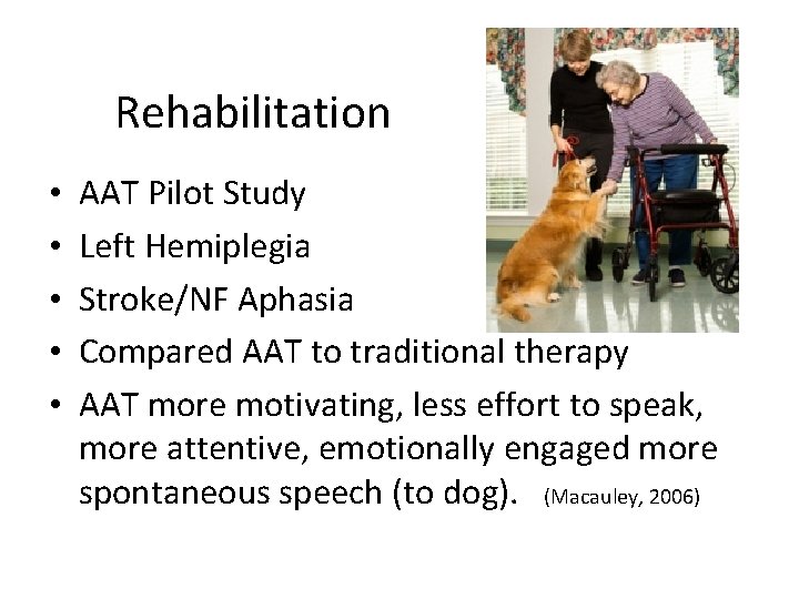 Rehabilitation • • • AAT Pilot Study Left Hemiplegia Stroke/NF Aphasia Compared AAT to