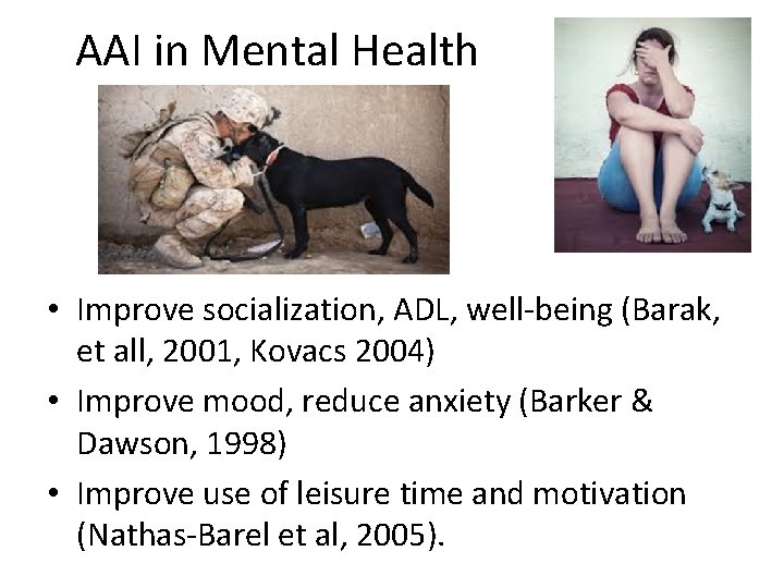 AAI in Mental Health • Improve socialization, ADL, well-being (Barak, et all, 2001, Kovacs