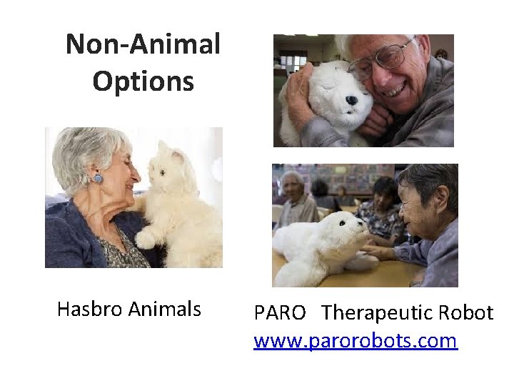 Non-Animal Options Hasbro Animals PARO Therapeutic Robot www. parorobots. com 