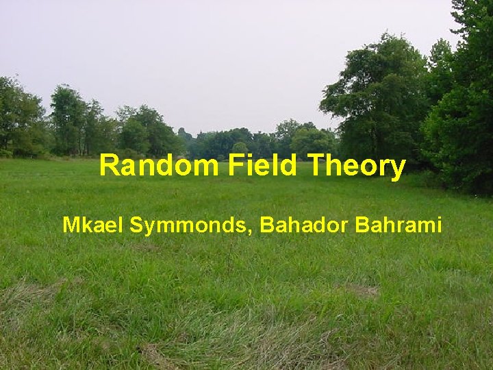 Random Field Theory Mkael Symmonds, Bahador Bahrami 