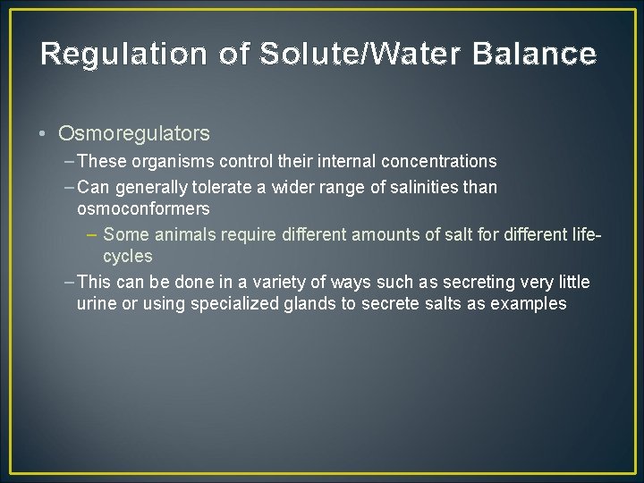 Regulation of Solute/Water Balance • Osmoregulators – These organisms control their internal concentrations –