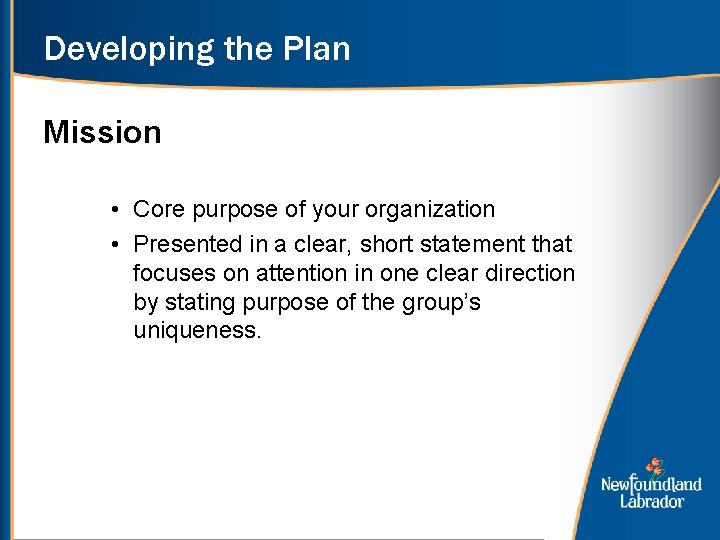 Developing the Plan Mission • Core purpose of your organization • Presented in a