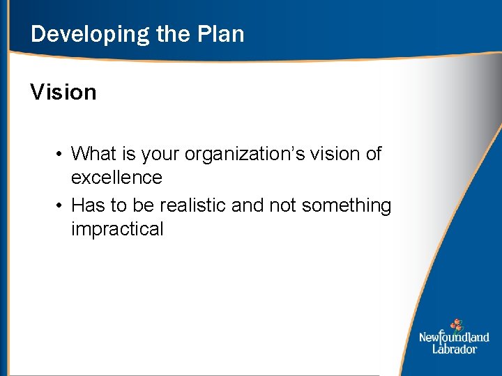 Developing the Plan Vision • What is your organization’s vision of excellence • Has