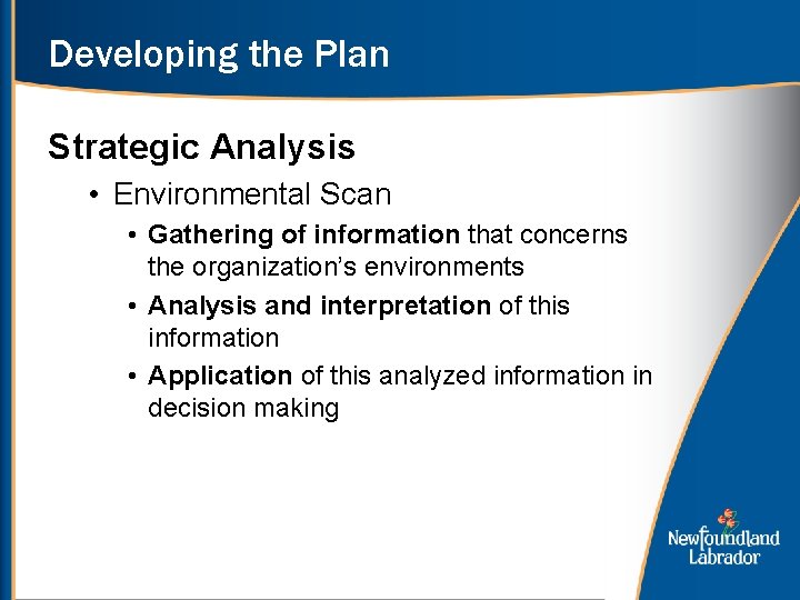 Developing the Plan Strategic Analysis • Environmental Scan • Gathering of information that concerns