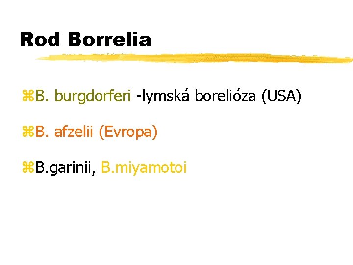 Rod Borrelia z. B. burgdorferi -lymská borelióza (USA) z. B. afzelii (Evropa) z. B.