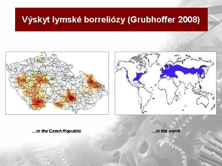 Výskyt lymské borreliózy (Grubhoffer 2008) …in the Czech Republic …in the world 