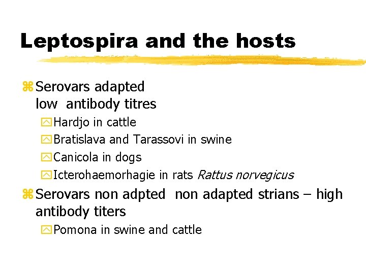 Leptospira and the hosts z Serovars adapted low antibody titres y. Hardjo in cattle
