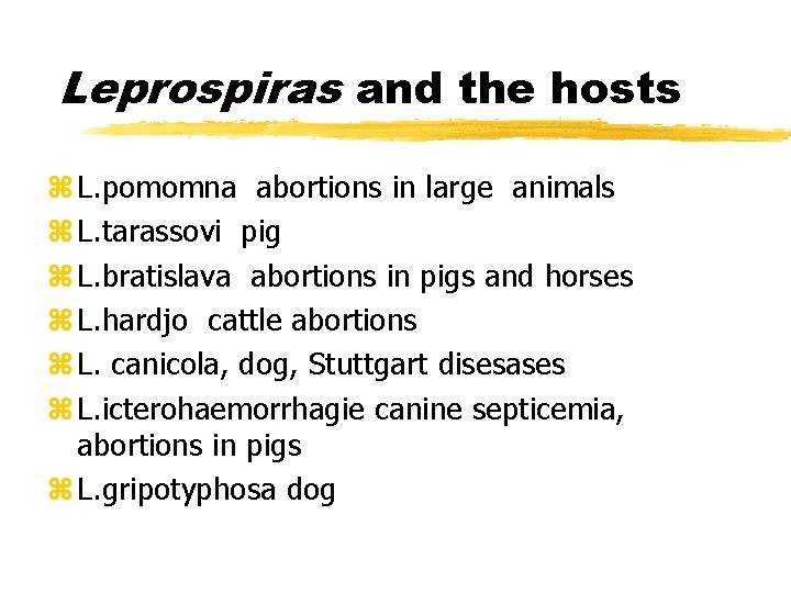 Leprospiras and the hosts z L. pomomna abortions in large animals z L. tarassovi