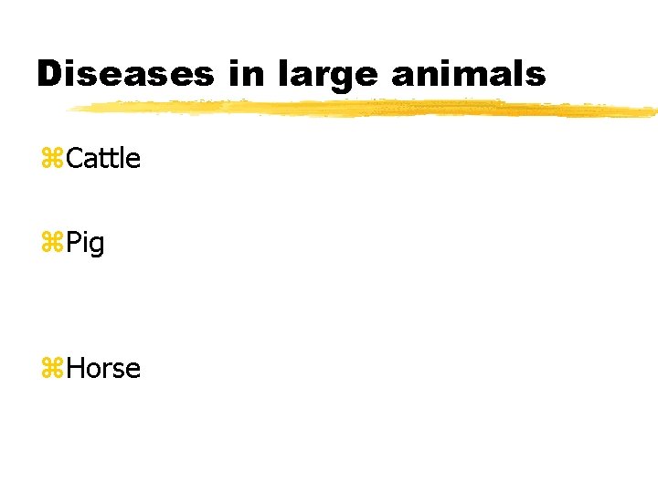 Diseases in large animals z. Cattle z. Pig z. Horse 