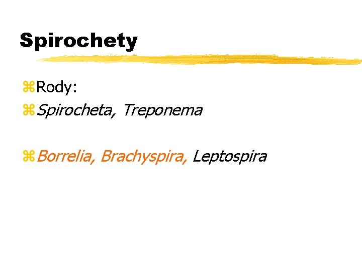 Spirochety z. Rody: z. Spirocheta, Treponema z. Borrelia, Brachyspira, Leptospira 