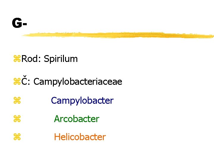 Gz. Rod: Spirilum zČ: Campylobacteriaceae z Campylobacter z Arcobacter z Helicobacter 