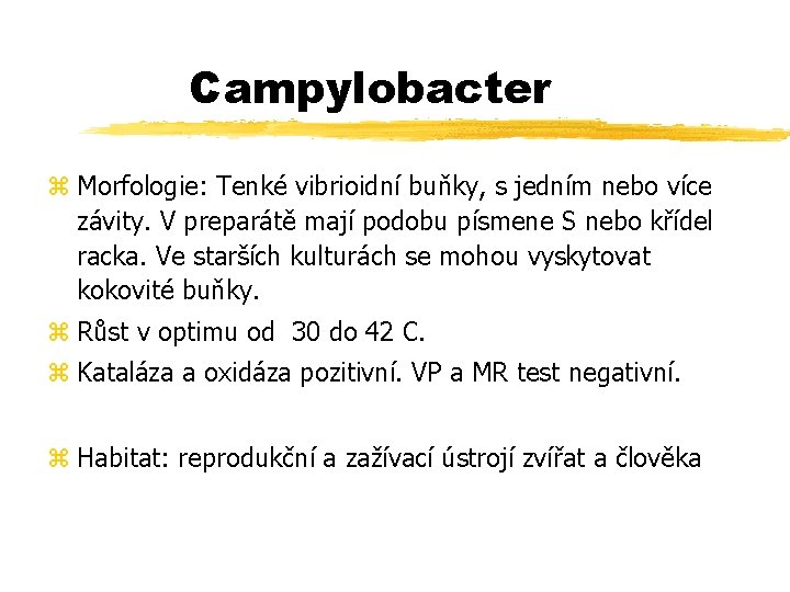 Campylobacter z Morfologie: Tenké vibrioidní buňky, s jedním nebo více závity. V preparátě mají