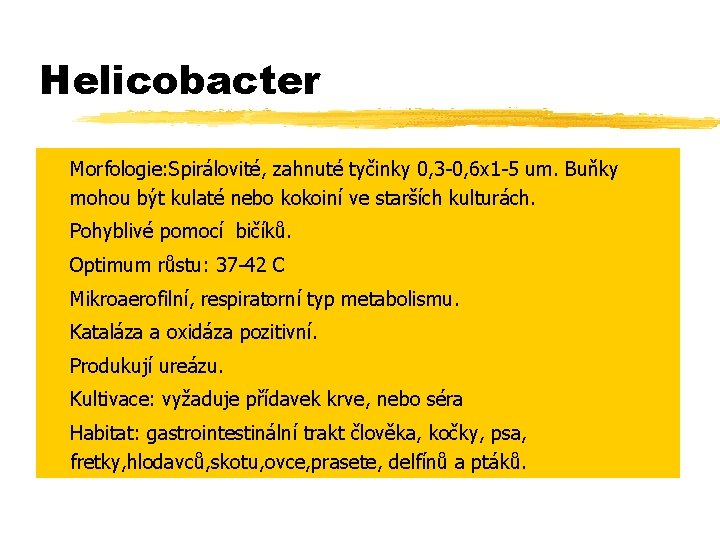 Helicobacter z Morfologie: Spirálovité, zahnuté tyčinky 0, 3 -0, 6 x 1 -5 um.