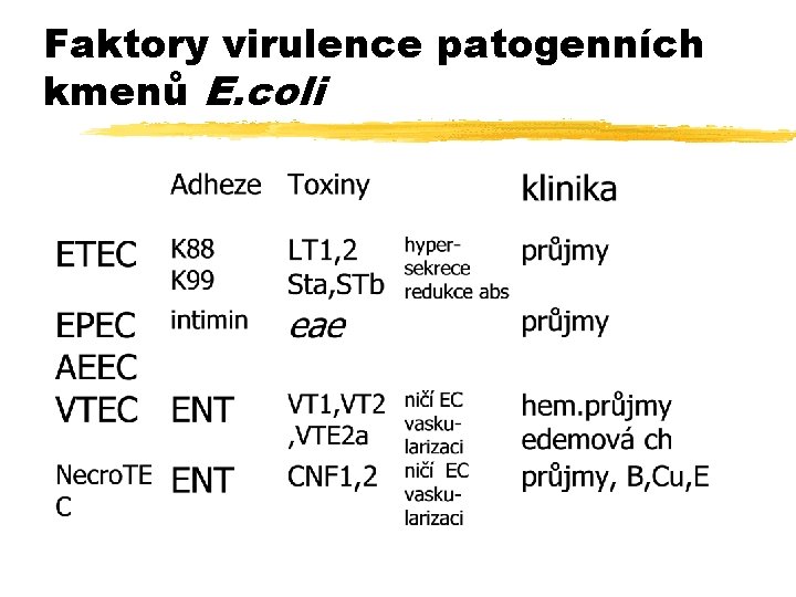 Faktory virulence patogenních kmenů E. coli 