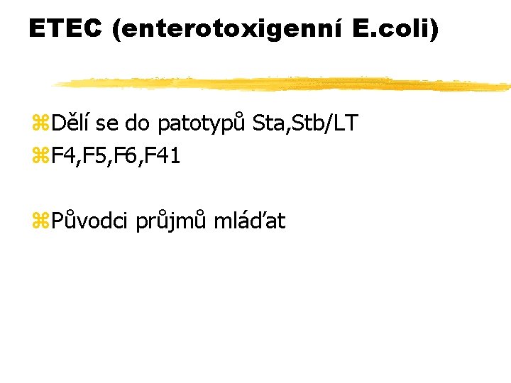 ETEC (enterotoxigenní E. coli) z. Dělí se do patotypů Sta, Stb/LT z. F 4,