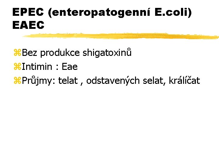 EPEC (enteropatogenní E. coli) EAEC z. Bez produkce shigatoxinů z. Intimin : Eae z.