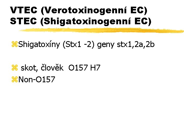 VTEC (Verotoxinogenní EC) STEC (Shigatoxinogenní EC) z. Shigatoxíny (Stx 1 -2) geny stx 1,